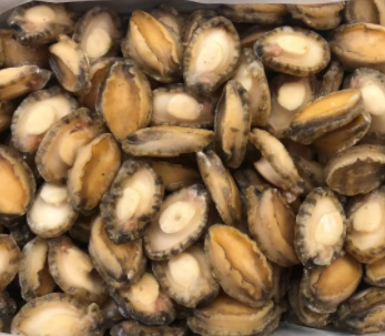 【食品進口】海參、鮑魚等海味干貨報關指南