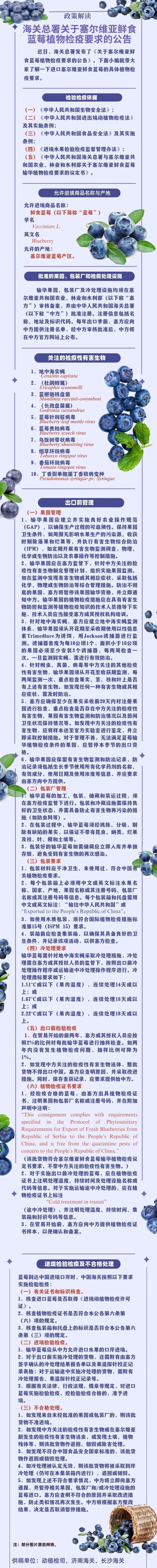 藍莓進口.jpg