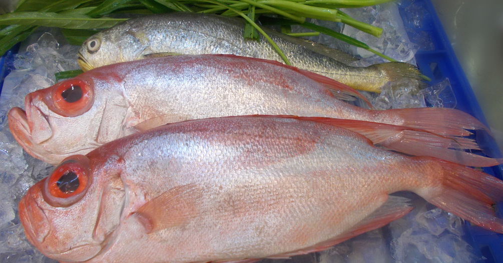 冰鮮魚進口需要提供哪些單證資料？