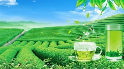 上海茶葉進口報關代理
